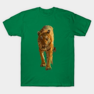 Tiger T-Shirt